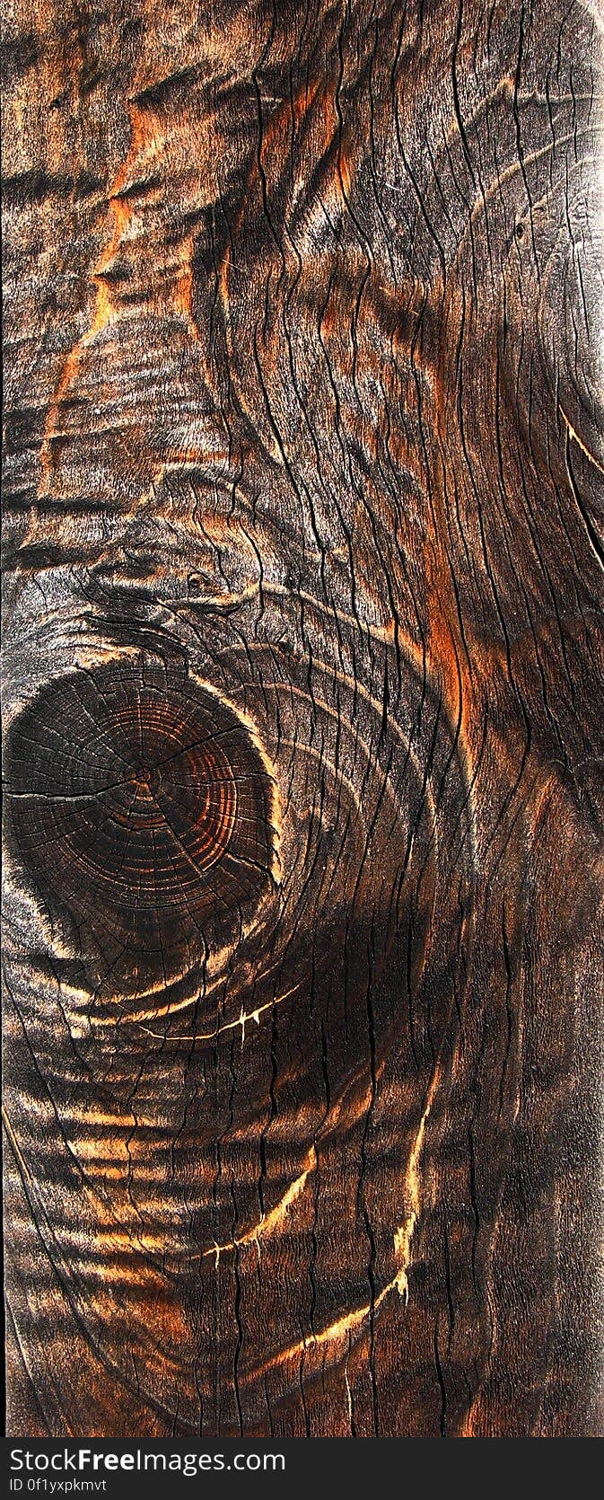 wood texture 8