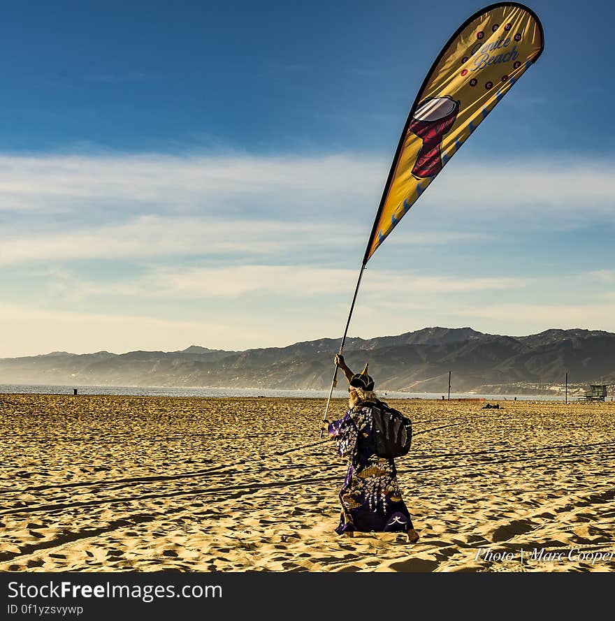 The Wizard of Venice Beach