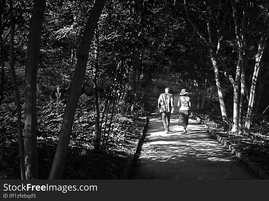 Two people walk along a wooded path. Two people walk along a wooded path.