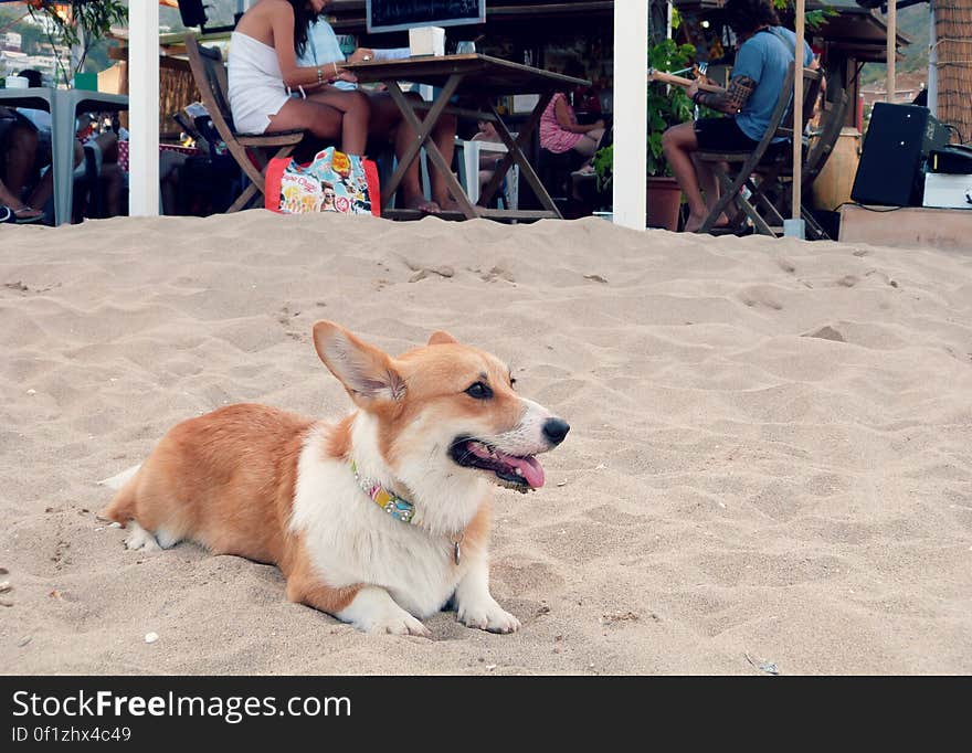 It was nice to take a day off and take Sun to the beach to meet up with friends and family. It was nice to take a day off and take Sun to the beach to meet up with friends and family