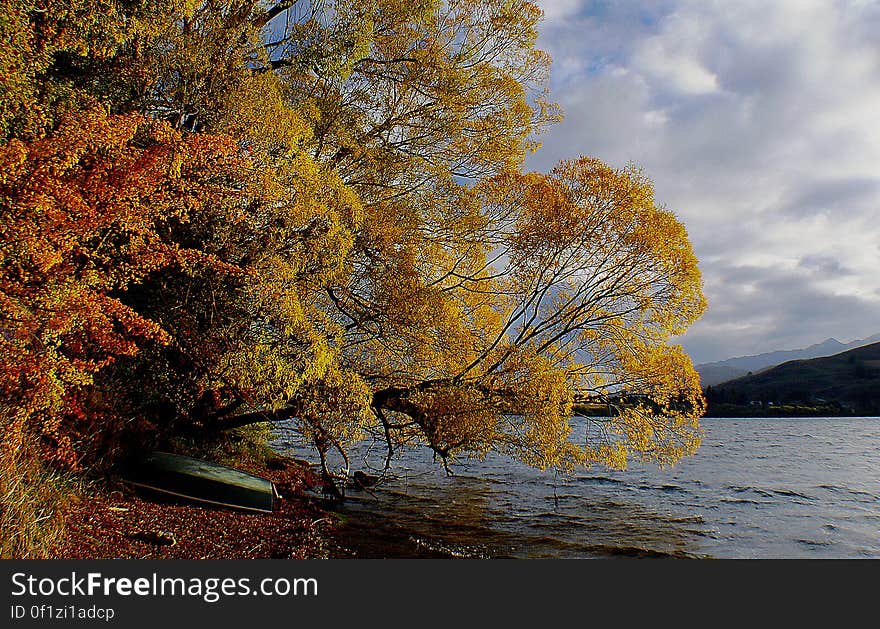 Lake Hayes NZ