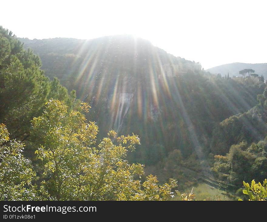 A view of a forestry mountain landscape in the sunlight. A view of a forestry mountain landscape in the sunlight.