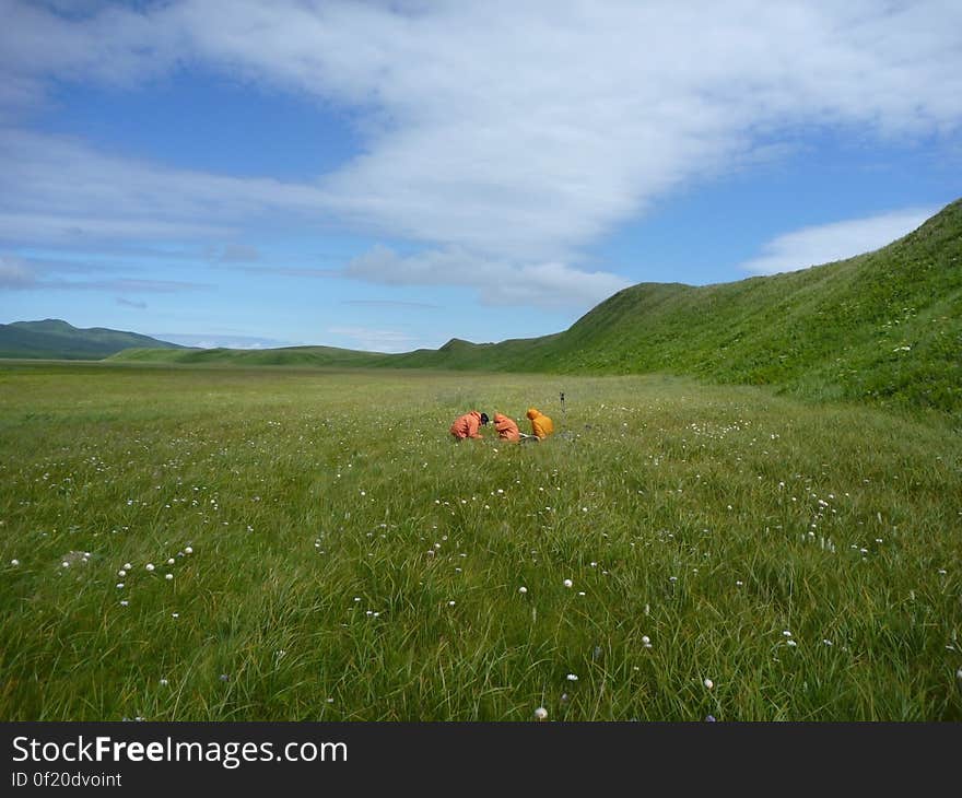 In this photo USGS geologists stand out in their orange uniforms surrounded by a lush, green grassy landscape as they examine geologic cores on Sitkinak Island, Alaska. Credit: Rich Briggs, USGS. Learn more about the geologic science that USGS is a part of in Alaska at bit.ly/AKGeology. In this photo USGS geologists stand out in their orange uniforms surrounded by a lush, green grassy landscape as they examine geologic cores on Sitkinak Island, Alaska. Credit: Rich Briggs, USGS. Learn more about the geologic science that USGS is a part of in Alaska at bit.ly/AKGeology