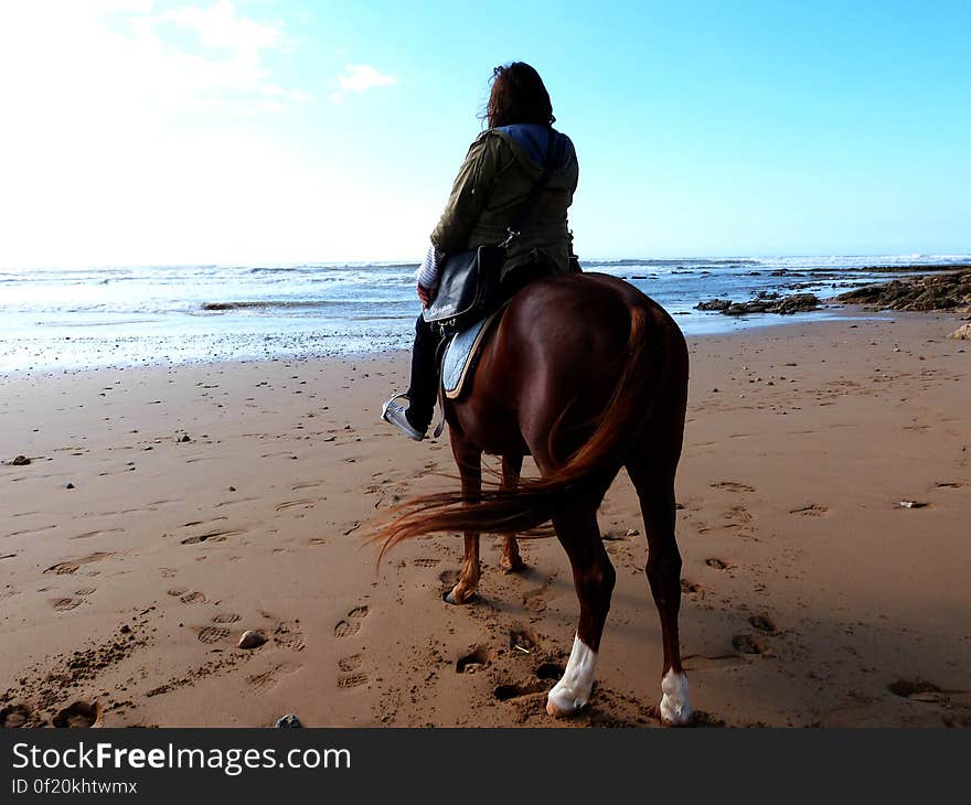 As always when I visit someplace, I do some horse riding! This time I rode one of the 3 horses of one of my grandma&#x27;s friends. It was great. - Morocco January 2014. Went to visit my grandma in Essauouira for the 2nd time since she moved there. Had a great time!. As always when I visit someplace, I do some horse riding! This time I rode one of the 3 horses of one of my grandma&#x27;s friends. It was great. - Morocco January 2014. Went to visit my grandma in Essauouira for the 2nd time since she moved there. Had a great time!