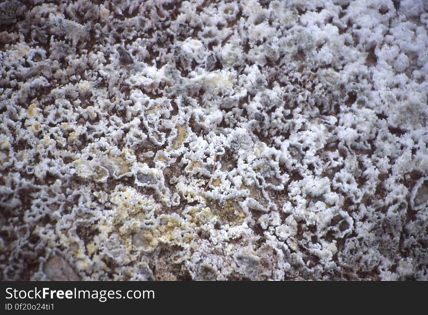 salt crystals