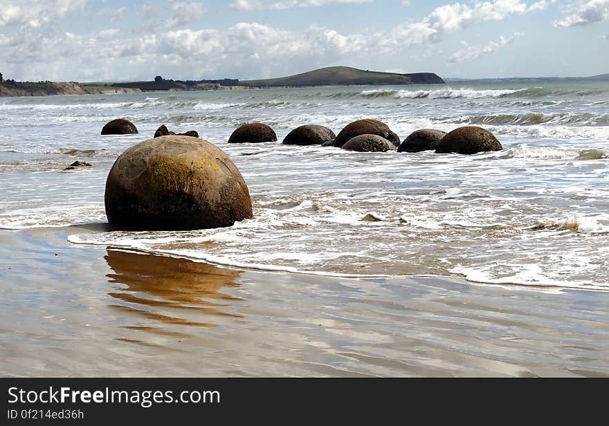 At Moeraki, 40 kilometres south of Oamaru, huge spherical boulders are scattered along the beach. Others can be seen emerging from the sandstone cliffs. Each boulder weighs several tonnes and is up to two metres high.According to Maori legend, the boulders are gourds washed ashore from the great voyaging canoe Araiteuru when it was wrecked upon landfall in New Zealand hundreds of years ago.Scientists explain the boulders as calcite concretions formed about 65 million years ago. Crystallization of calcium and carbonates around charged particles gradually formed the boulders in a pearl-like process that took as long as four million years. The soft mudstone containing the boulders was raised from the seabed around 15 million years ago; waves, wind and rain are excavating them one by one. At Moeraki, 40 kilometres south of Oamaru, huge spherical boulders are scattered along the beach. Others can be seen emerging from the sandstone cliffs. Each boulder weighs several tonnes and is up to two metres high.According to Maori legend, the boulders are gourds washed ashore from the great voyaging canoe Araiteuru when it was wrecked upon landfall in New Zealand hundreds of years ago.Scientists explain the boulders as calcite concretions formed about 65 million years ago. Crystallization of calcium and carbonates around charged particles gradually formed the boulders in a pearl-like process that took as long as four million years. The soft mudstone containing the boulders was raised from the seabed around 15 million years ago; waves, wind and rain are excavating them one by one.