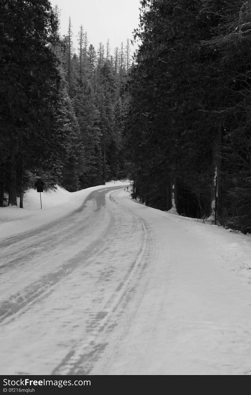 Black & White of Going-to-the-Sun Road in Glacier National Park, Montana, USA