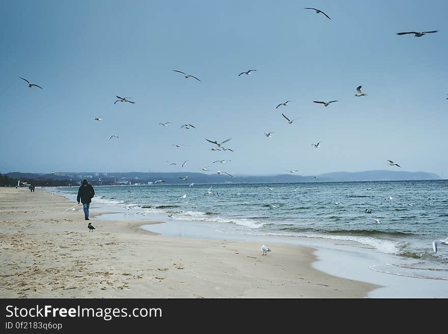 Walking by the sea