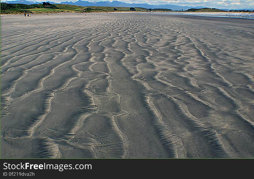 Foreshore: That part of a beach that is exposed by the low tides and submerged by high tides. This area can include many different types of habitats, including steep rocky cliffs, sandy beaches or vast mudflats. Also called intertidal beach. Foreshore: That part of a beach that is exposed by the low tides and submerged by high tides. This area can include many different types of habitats, including steep rocky cliffs, sandy beaches or vast mudflats. Also called intertidal beach.