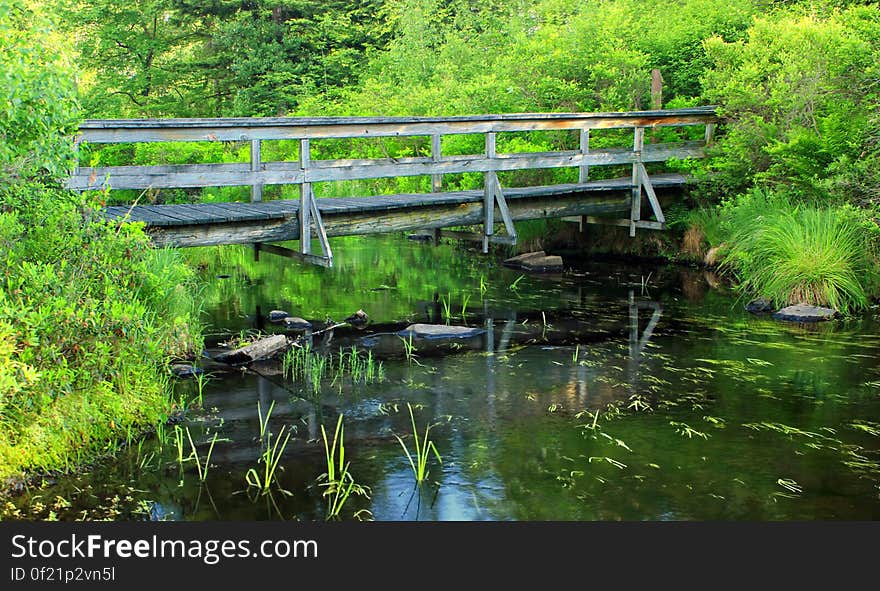 Wooden footbridge over an unnamed stream at the south end of Gouldsboro Lake, Monroe County, within Gouldsboro State Park. I&#x27;ve licensed this photo as CC0 for release into the public domain. You&#x27;re welcome to download the photo and use it without attribution. Wooden footbridge over an unnamed stream at the south end of Gouldsboro Lake, Monroe County, within Gouldsboro State Park. I&#x27;ve licensed this photo as CC0 for release into the public domain. You&#x27;re welcome to download the photo and use it without attribution.