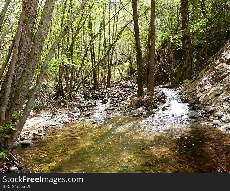 At the Montseny mountain, Spain. At the Montseny mountain, Spain.