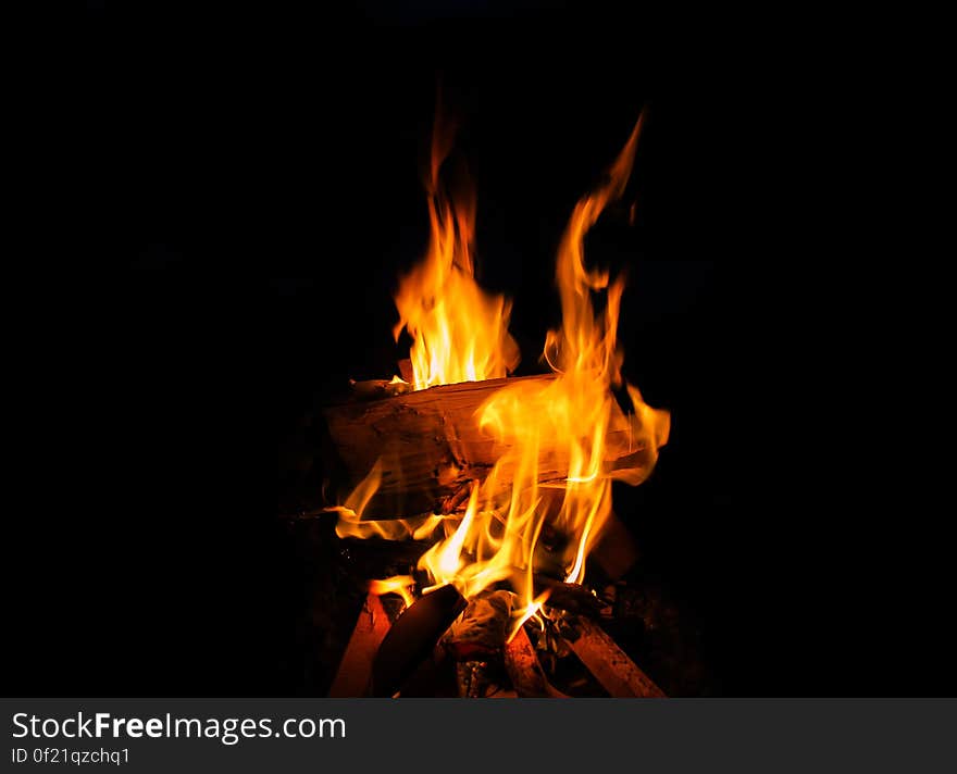 Close-up of Bonfire at Night