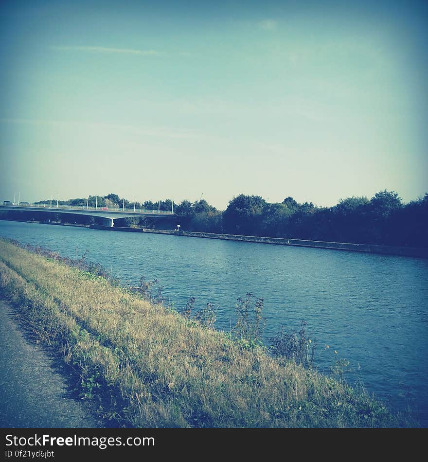 Grass on the river bank and a bridge across the river in the background.