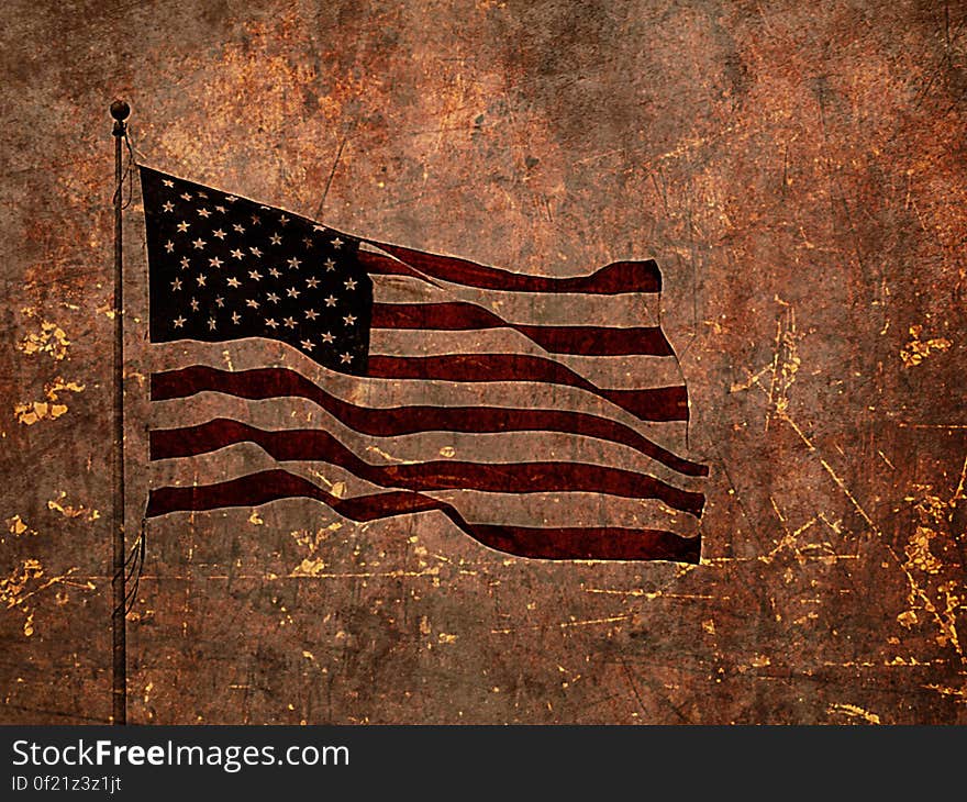 USA flag texture