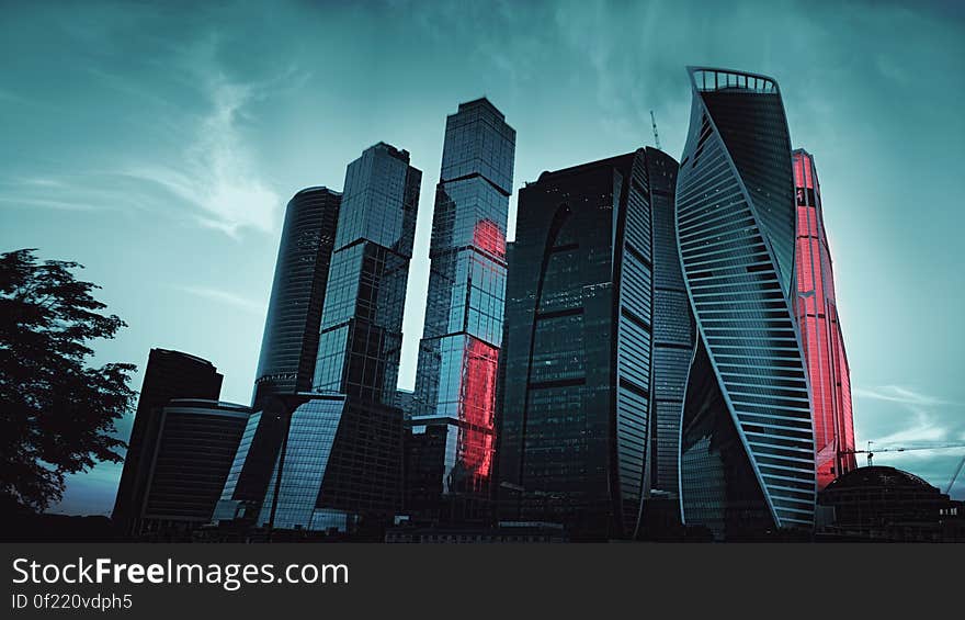 High Rise Buildings Under Blue Sky during Daytime