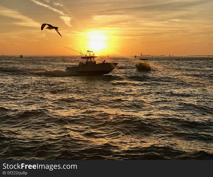 Seagull flying over boat on choppy waters at sunset. Seagull flying over boat on choppy waters at sunset.