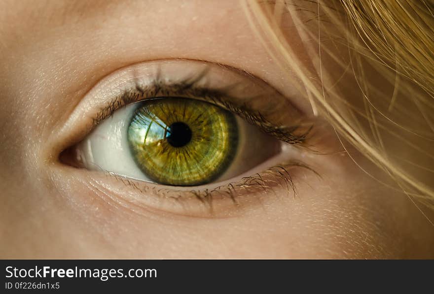 A close up shot of a girl`s green eye. A close up shot of a girl`s green eye.