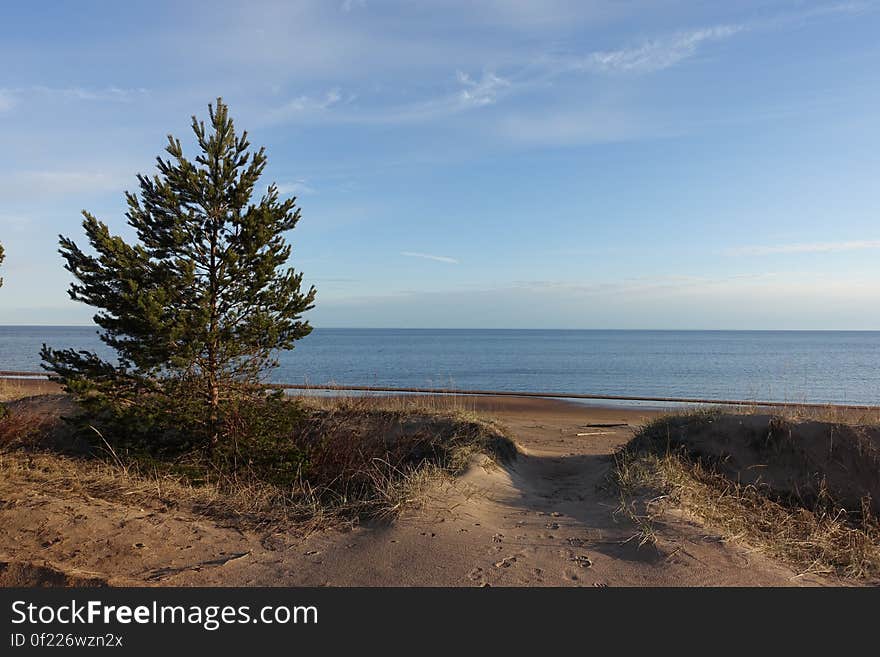 Sky, Water, Cloud, Plant, Water resources, Ecoregion