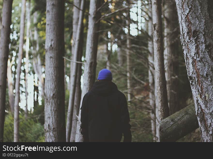 Rear View of Man in Forest