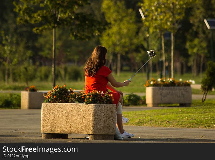 Rear view of girl taking picture with selfie stick in park. Rear view of girl taking picture with selfie stick in park.