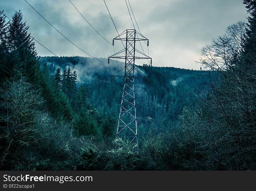 A high voltage line going through a forest. A high voltage line going through a forest.