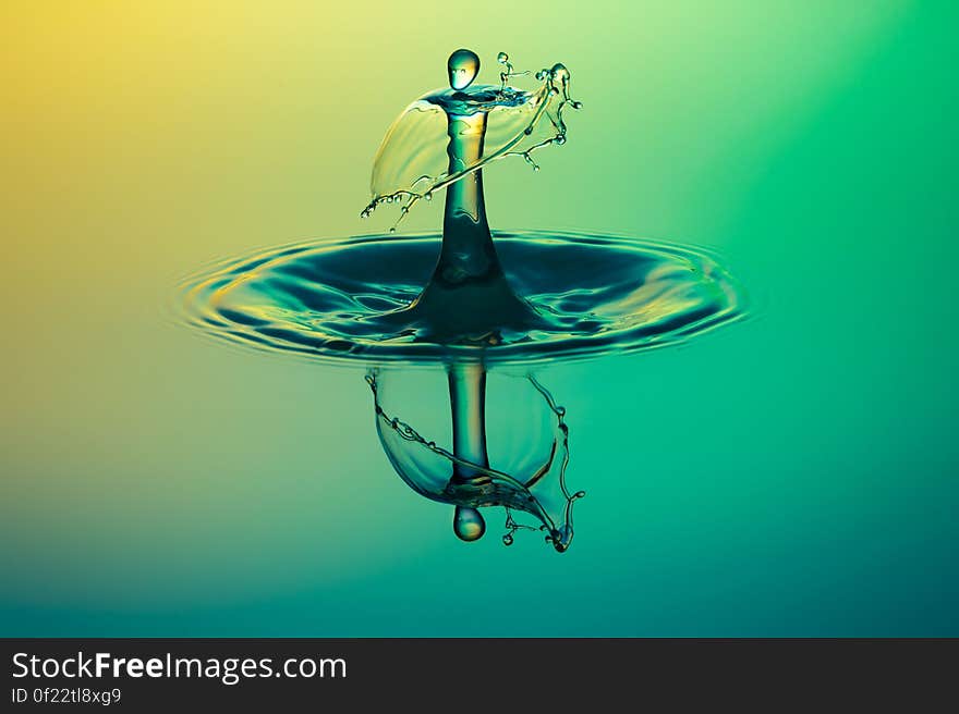 Close Up Water Drop Photography