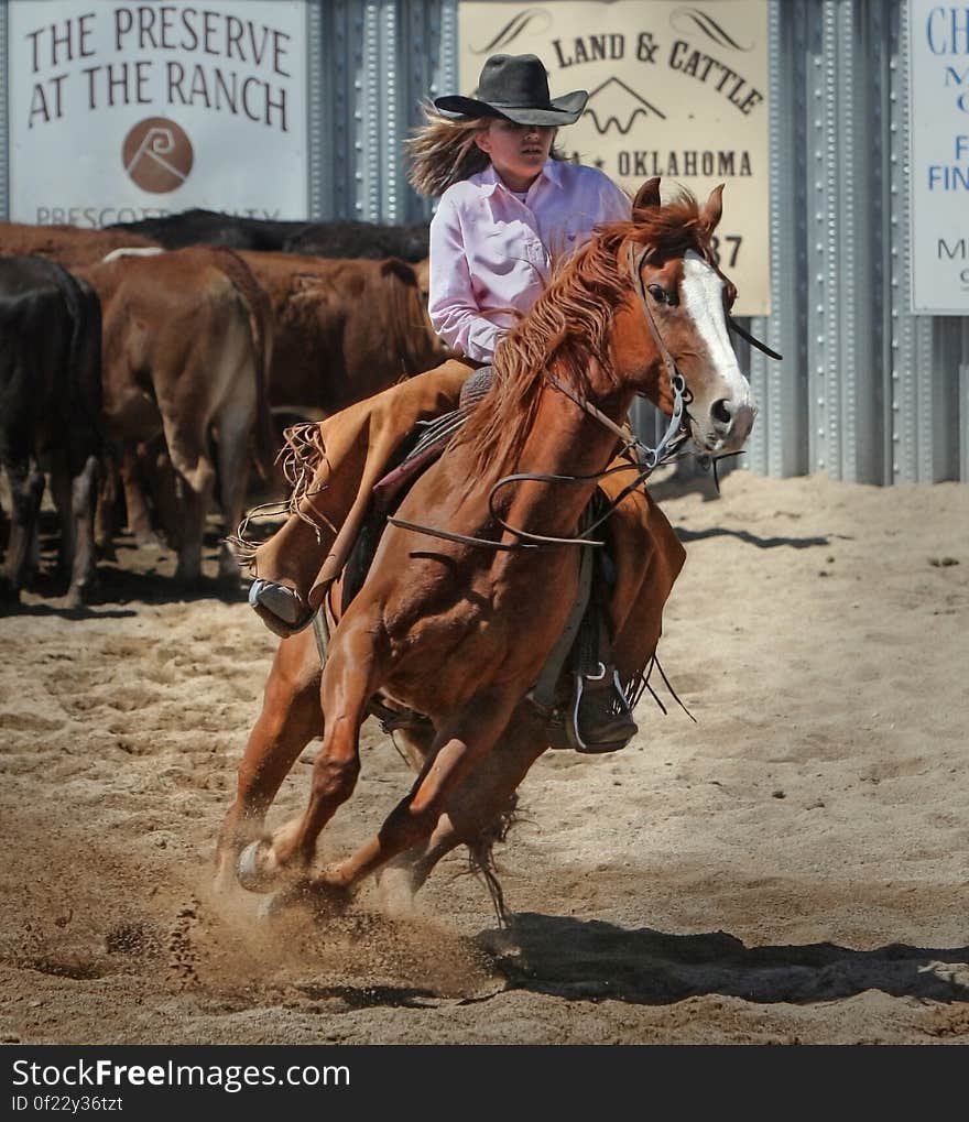 Woman in Pink Dress Shirt Riding on Brown Horse