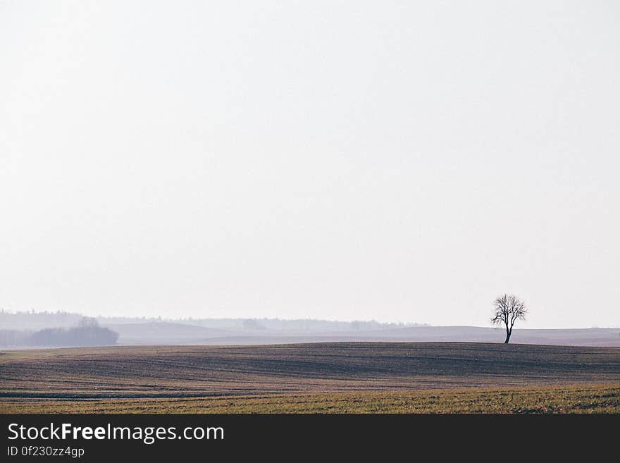 Landscape of a field where crops are grown, with a low misty fog visible in the distance. Landscape of a field where crops are grown, with a low misty fog visible in the distance.