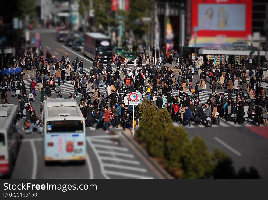 White Bus on Concrete Street Near Group of People Crossing Pedestrian Lane