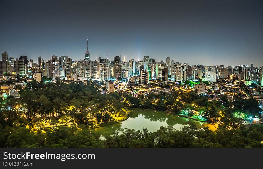 City skyline and green park at night. City skyline and green park at night.