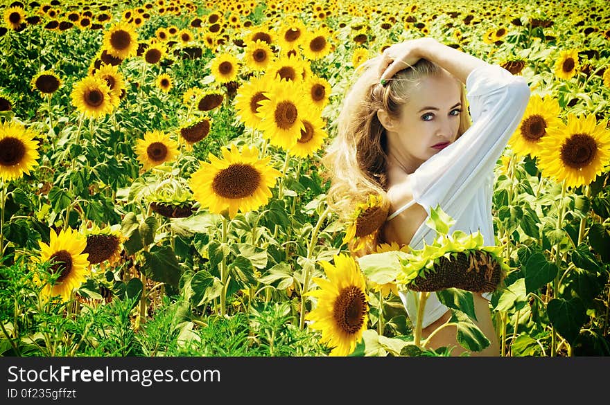 Woman in White Long Sleeve Shirt on Sunflower Field