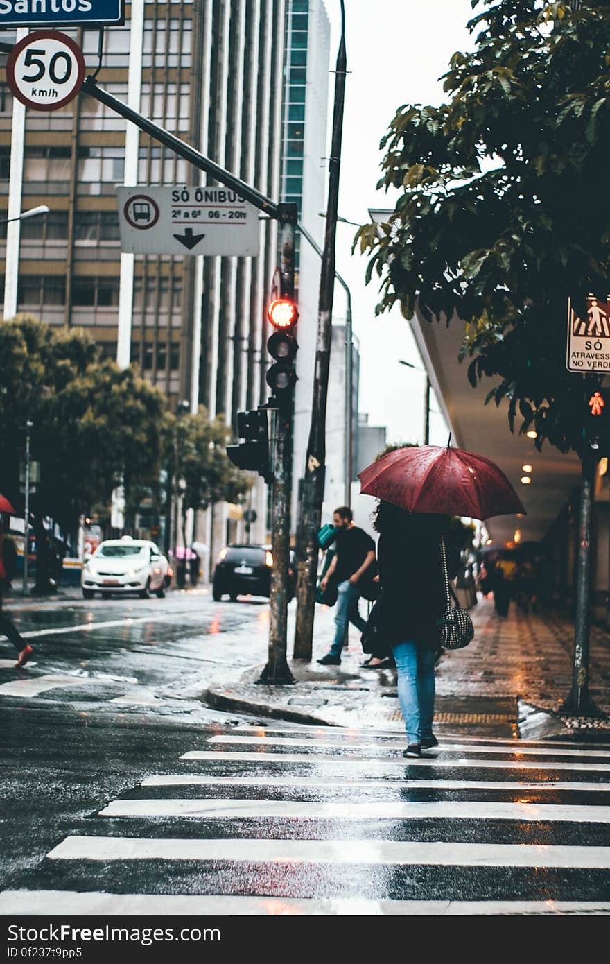 Rear view of woman under umbrella walking on rainy city sidewalk. Rear view of woman under umbrella walking on rainy city sidewalk.