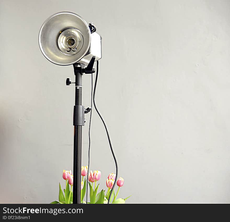 A studio light on a stand with red tulips. A studio light on a stand with red tulips.