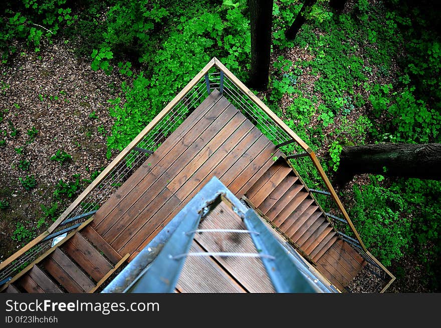 Overhead view of external stairs on a rural building surrounded by trees. Overhead view of external stairs on a rural building surrounded by trees.