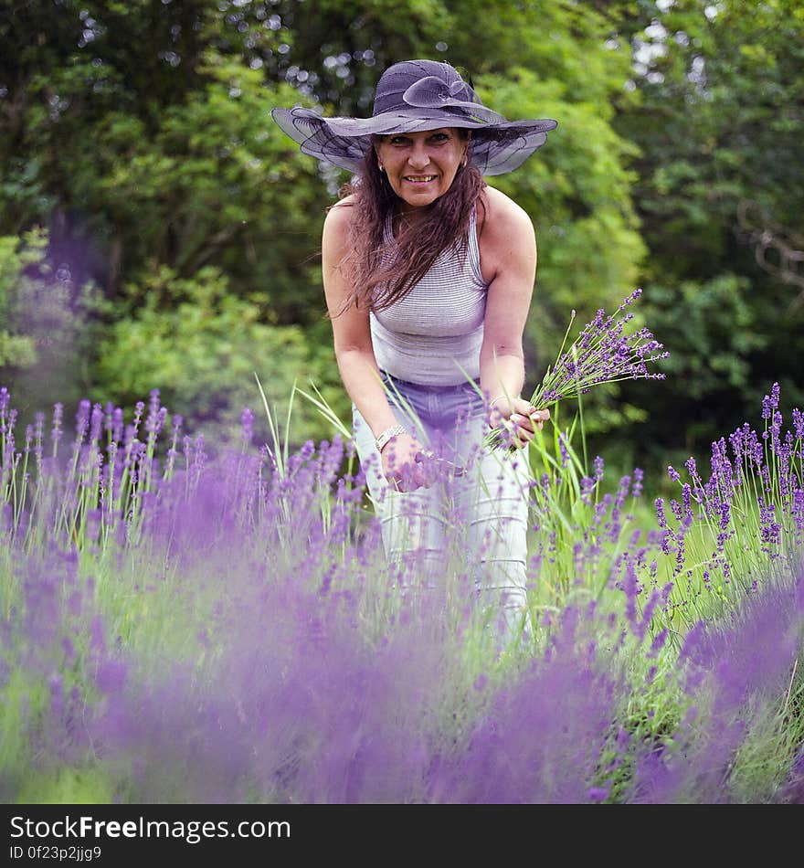 Hasselblad 500C/M Carl Zeiss Planar 80mm f/2.8 Sekonic L-308S Light meter Picked our own lavender at Monoszló &#x28;www.facebook.com/magyarprovence/&#x29; Fuji PRO 160NS. Hasselblad 500C/M Carl Zeiss Planar 80mm f/2.8 Sekonic L-308S Light meter Picked our own lavender at Monoszló &#x28;www.facebook.com/magyarprovence/&#x29; Fuji PRO 160NS