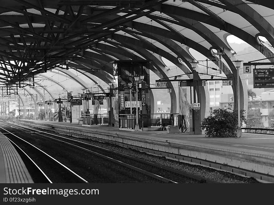 Train Terminal Gray Scale Photo