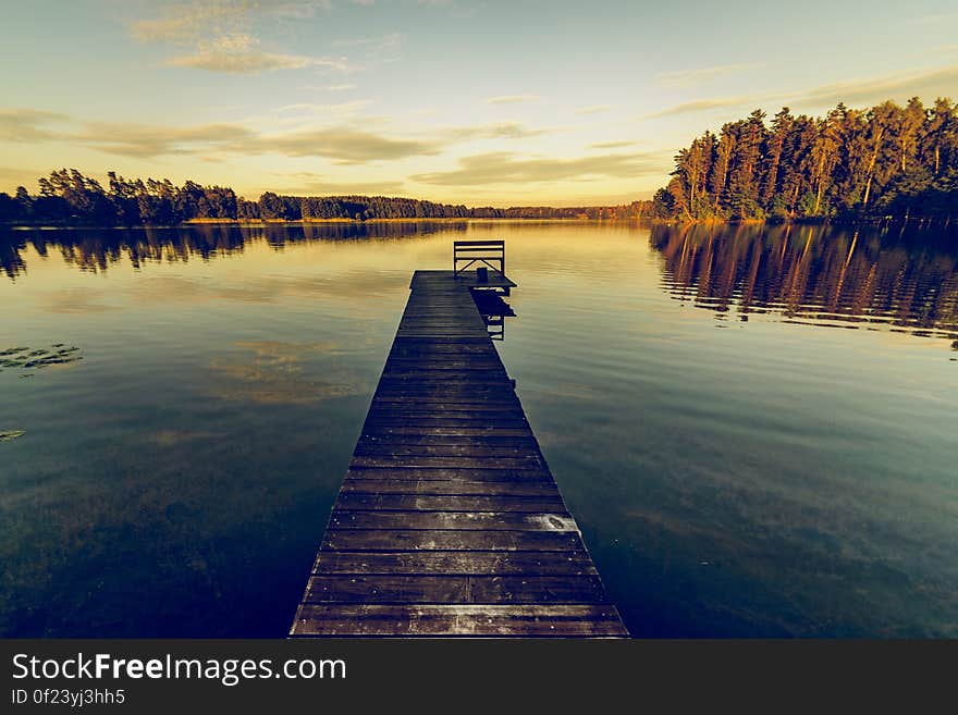 Brown Wooden Dock during Daylight