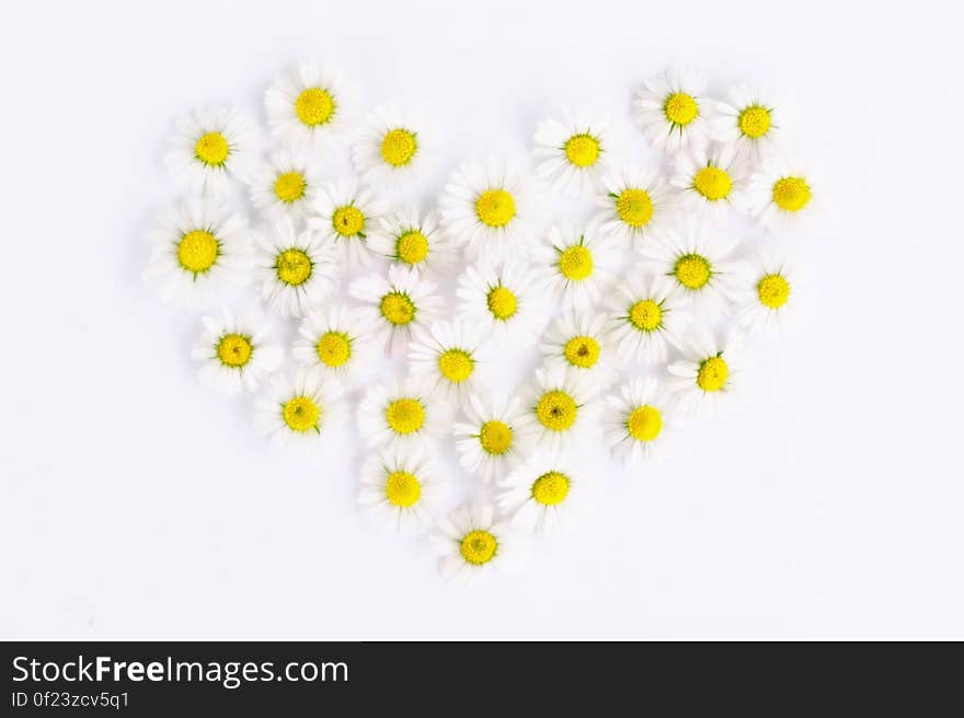 White and Yellow Flowers in Heart Form