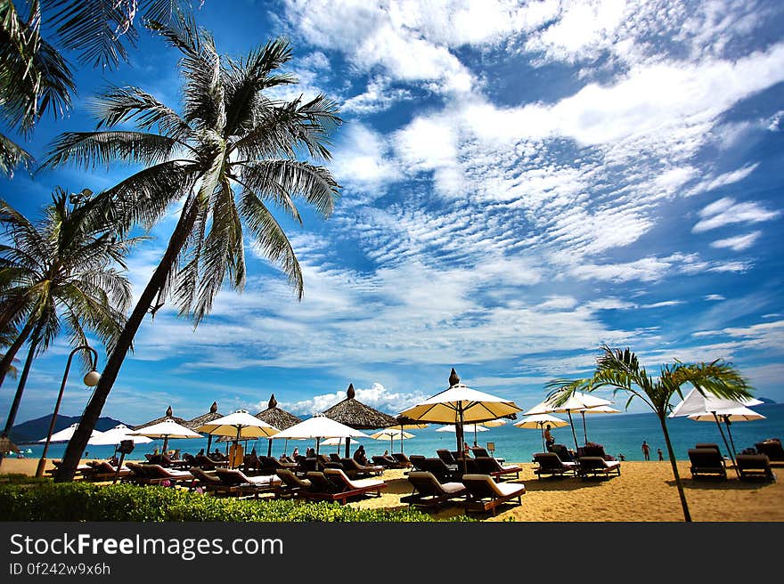 A view of a tropical beach with umbrellas and palm trees.