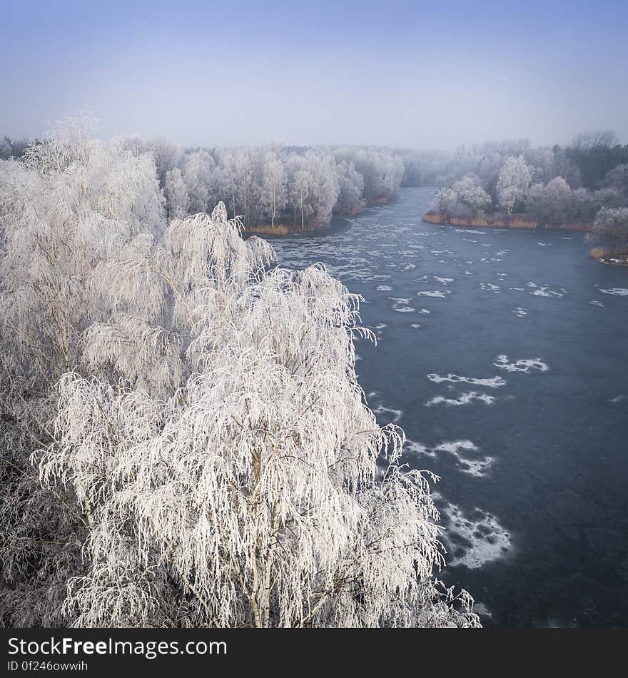 Frozen trees on a lake coast. Frozen trees on a lake coast.