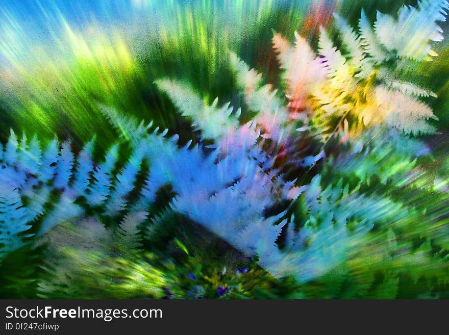 exploding ferns with green