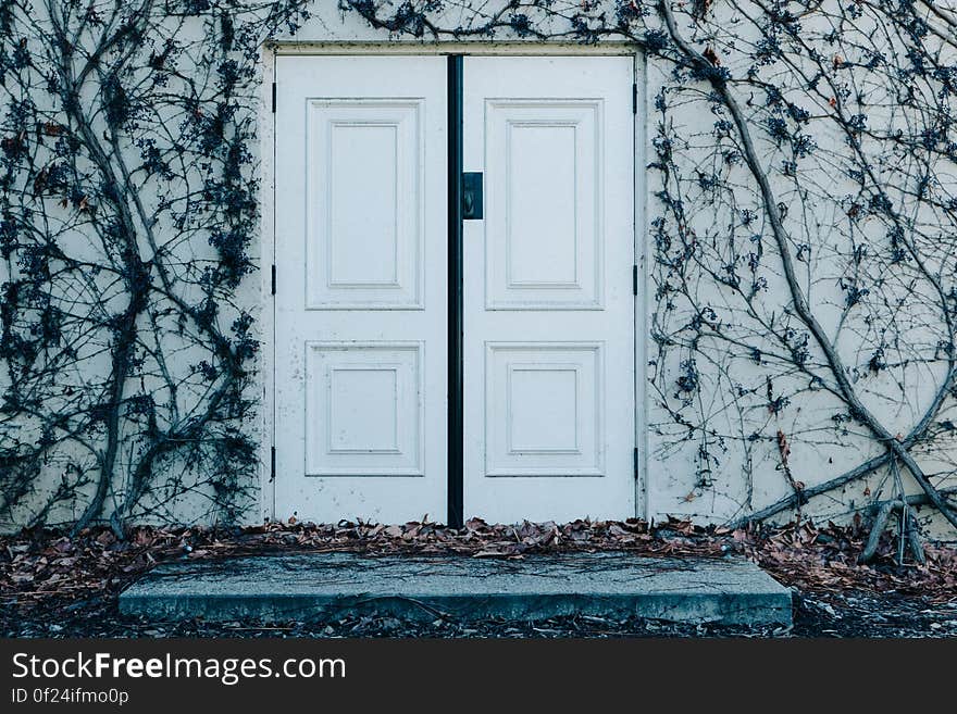 A double door on a wall with vines. A double door on a wall with vines.