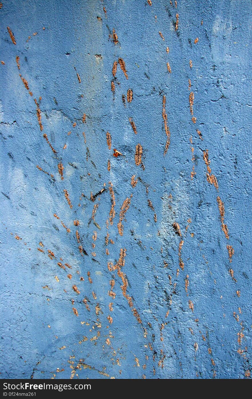 vine tracks on blue concrete wall