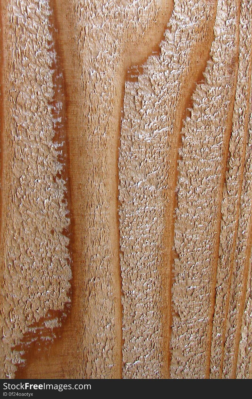 wood texture 4