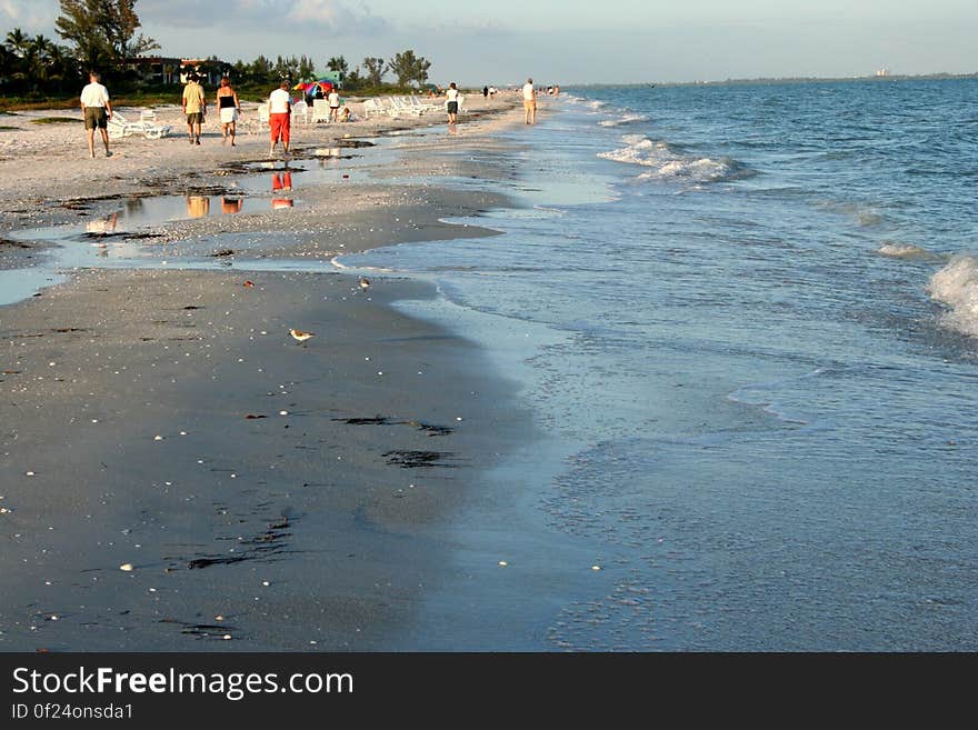 Here on Sanibel Island these bent old white pasty birds work up and down the beach, bent over, constantly poking in the sand, picking up shells, filling up plastic bags, cups, upturned shirts. The booty is stuffed into suitcases, bags, wasting air freight and jet fuel, destined o be dumped into boxes or drawers upon return to the home grounds of Buffalo, Detroit, Cleveland. Here on Sanibel Island these bent old white pasty birds work up and down the beach, bent over, constantly poking in the sand, picking up shells, filling up plastic bags, cups, upturned shirts. The booty is stuffed into suitcases, bags, wasting air freight and jet fuel, destined o be dumped into boxes or drawers upon return to the home grounds of Buffalo, Detroit, Cleveland...