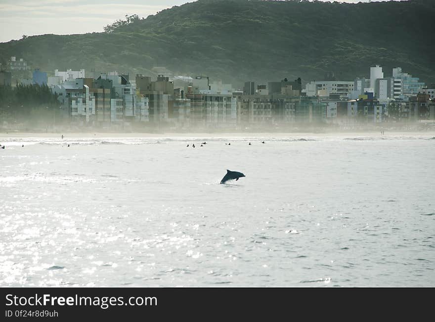 Laguna, SC, Brazil. Laguna, SC, Brazil