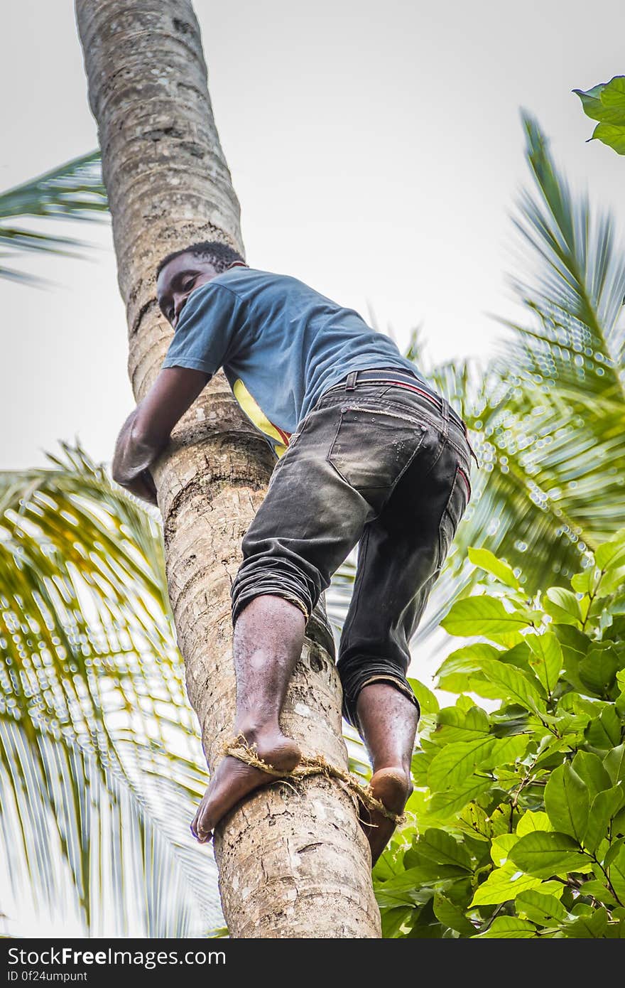 Shoe, Sky, Leg, Botany, People in nature, Branch