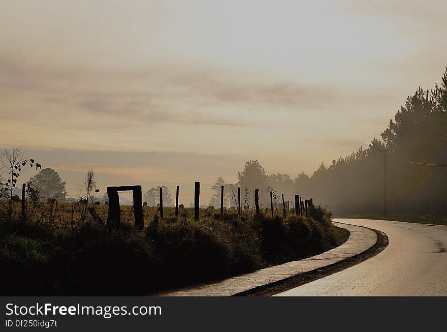 Black Curve Asphalt Road Beside Green Field