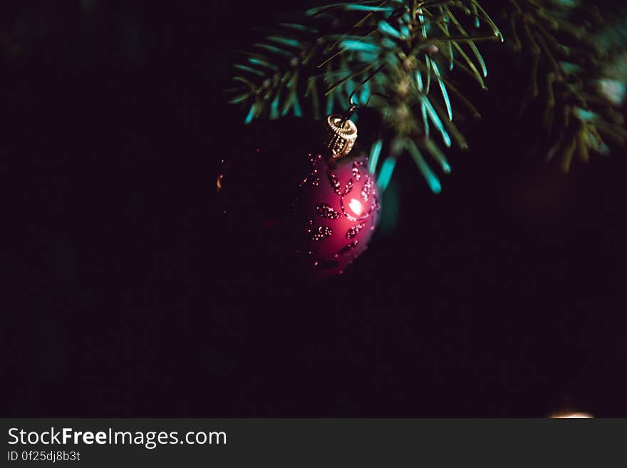 A close up of a red Christmas ball on a Christmas tree branch.