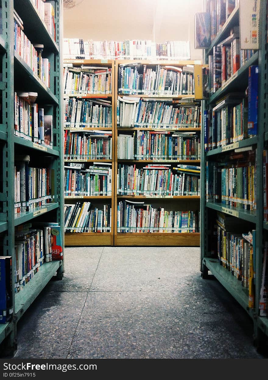 A view inside a library with shelves full of books. A view inside a library with shelves full of books.